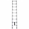 Teleskopický hliníkový rebrík AHProfi, 2,6 m, 8 stupňov - AH1026PT