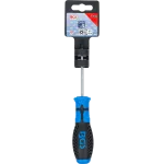 Detail skrutkovača BGS Torx T10 pre bezpečnostné skrutky s otvorom – B7849-T10
