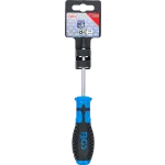 Detail skrutkovača BGS Torx T20 pre bezpečnostné skrutky s otvorom – B7849-T20