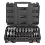 Hlavice s bitmi TORX 18 ks 1/2