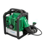 Fukar na lístie, benzínový, 2500 W - HTG840704