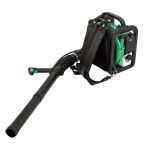 Fukar na lístie, benzínový, 2500 W - HTG840704