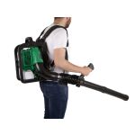 Fukar na lístie, benzínový, 2500 W - HTG840704