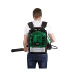 Fukar na lístie, benzínový, 2500 W - HTG840704