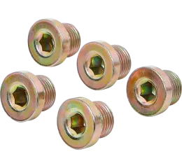 Sada olejových výpustí pre BGS 126, M17 x 1,5 mm, 5 ks - B126-SM17