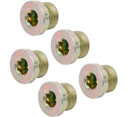 Sada olejových výpustí pre BGS 126, M20 x 1,5 mm, 5 ks - B126-SM20