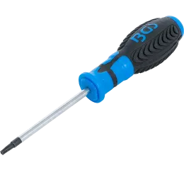 Skrutkovač Torx - T20, 80 mm, BGS - B7849-T20