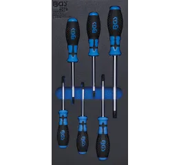 Sada skrutkovačov v penovej výplni, Torx, 6 ks - B4078