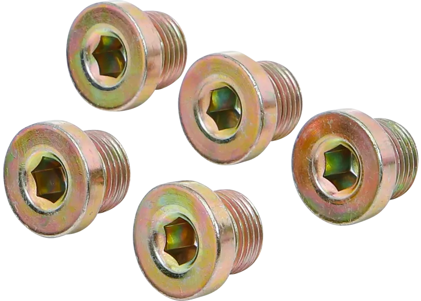 Sada olejových výpustí k BGS 126, M17 x 1,5 mm, 5 ks - B126-SM17