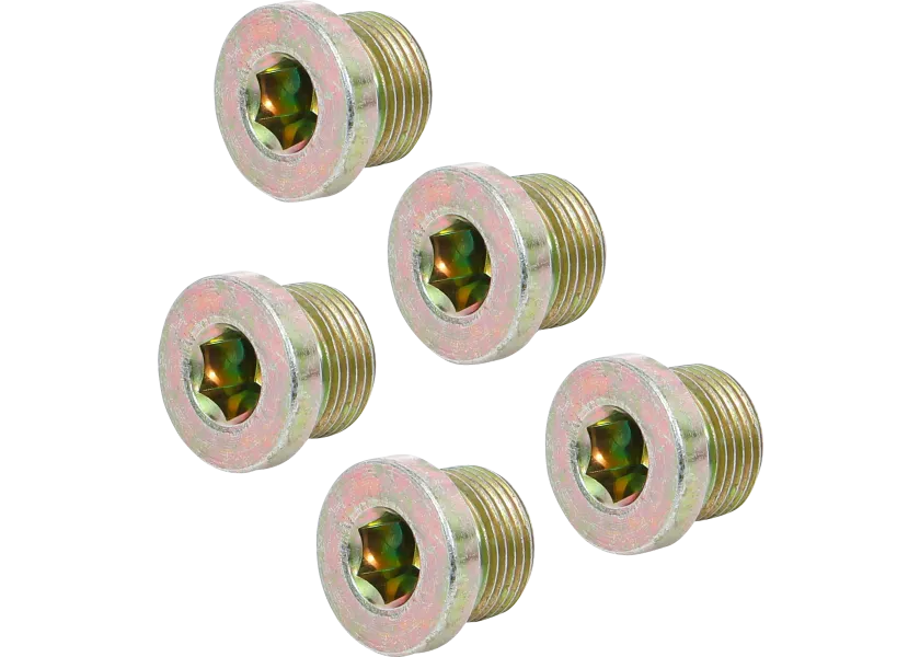 Sada olejových výpustí pre BGS 126, M20 x 1,5 mm, 5 ks - B126-SM20