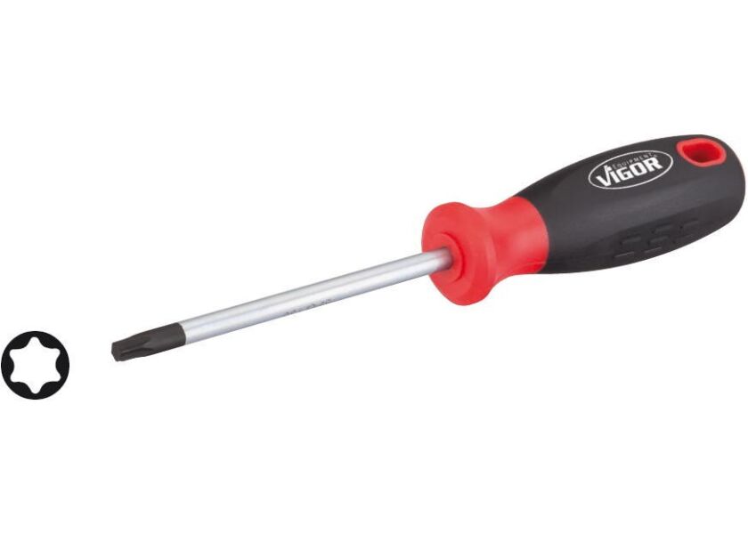 Šroubovák TORX, T6 - V4419