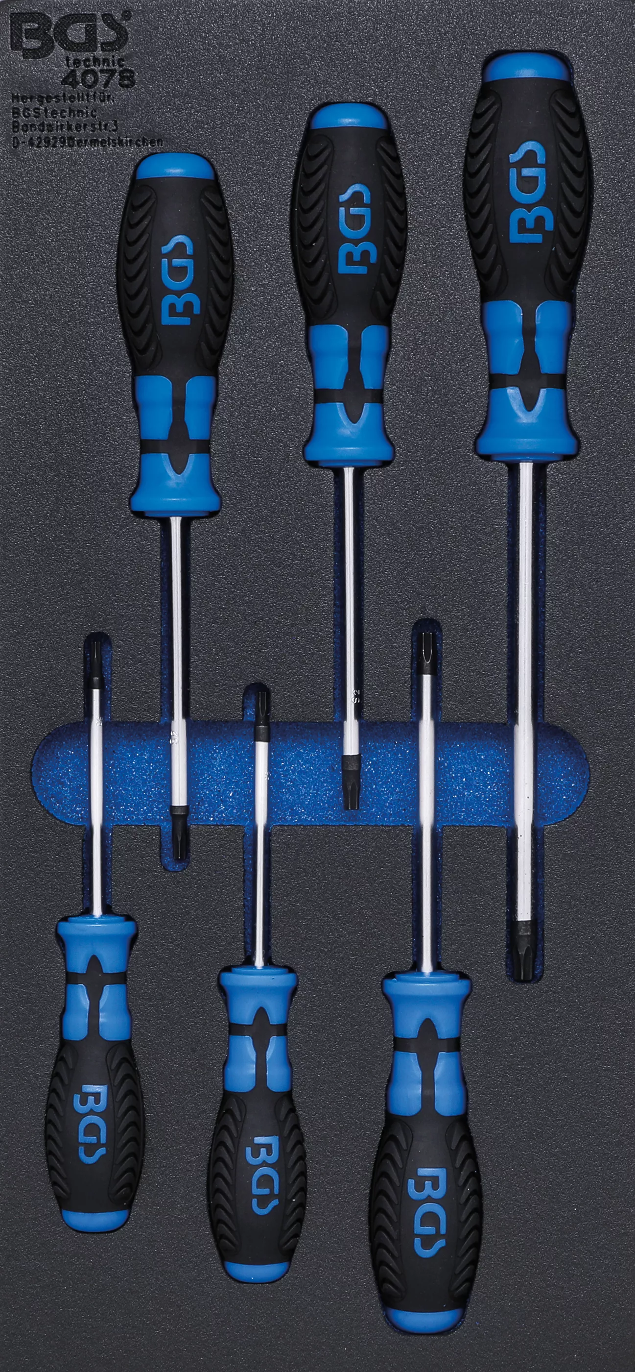 E-shop Sada skrutkovačov v penovej výplni, Torx, 6 ks - B4078